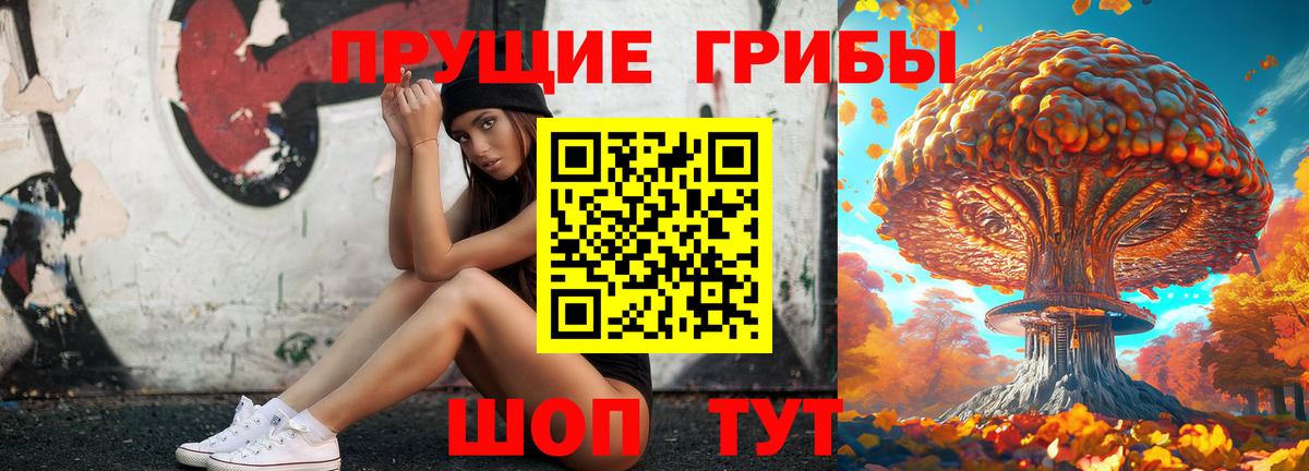 Псилоцибиновые грибы Psilocybe Бор