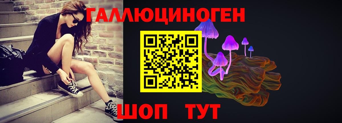 как найти   Галлюциногенные грибы Psilocybine cubensis  Вход с VPN  Галлюциногенные грибы Magic Shrooms  Бор 